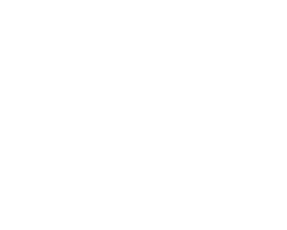 Ernesto Flores